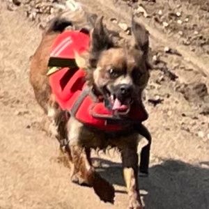 Not selling right now